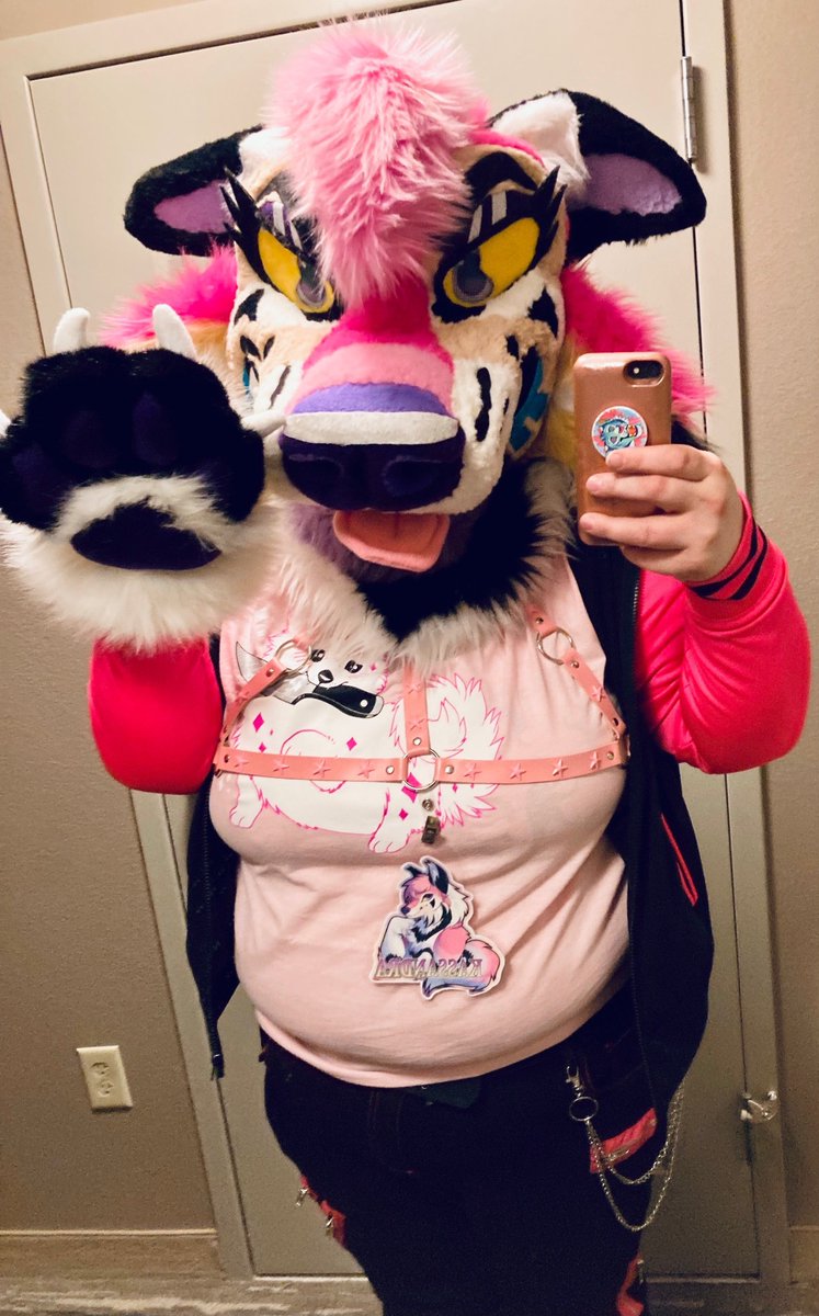Larkspur1678's tweet photo. Figured it was time for a new pinned!  I’m an ER vet assistant, fursuiter and furry artist from WI.  My special interests include Warriors, Kingdom Hearts, Digimon, birds and horror movies.

Other places to find me: https://t.co/SQAX5nIEel https://t.co/GX2IoZBe5n