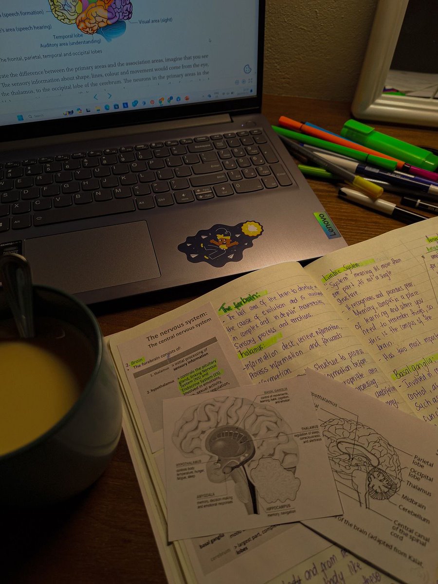 studygabss_'s tweet image. 🪴:.#studytwt ; #collegetwt ; #psitwt.
  - gabs, 06’s.
  - estudante de psicologia (01/10).
  - focus: estudos | idiomas | academia.

 ☕️&apos;𝘱𝘴𝘪𝘤𝘰,𝘵𝘦𝘢,𝘣𝘰𝘰𝘬𝘴,𝘨𝘺𝘮,𝘳𝘰𝘶𝘵𝘪𝘯𝘦,𝘴𝘵𝘶𝘥𝘪𝘦𝘴,𝘤𝘰𝘰𝘬𝘪𝘯𝘨,𝘦𝘵𝘤.

♡/↺ = 𝘮𝘶𝘵𝘶𝘢𝘭𝘴!!