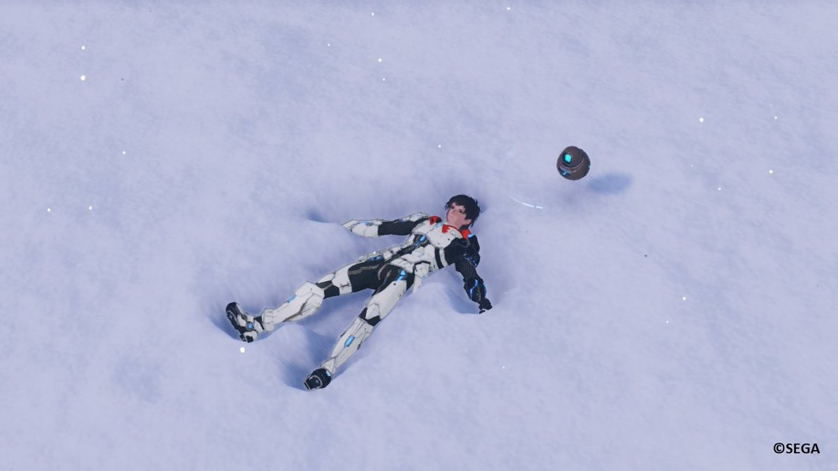 SEGA_OFFICIAL's tweet image. 冬のお愉しみと言えば？ 
What do you enjoy most about winter? 
Do you like lying down in the snow?

#NGS