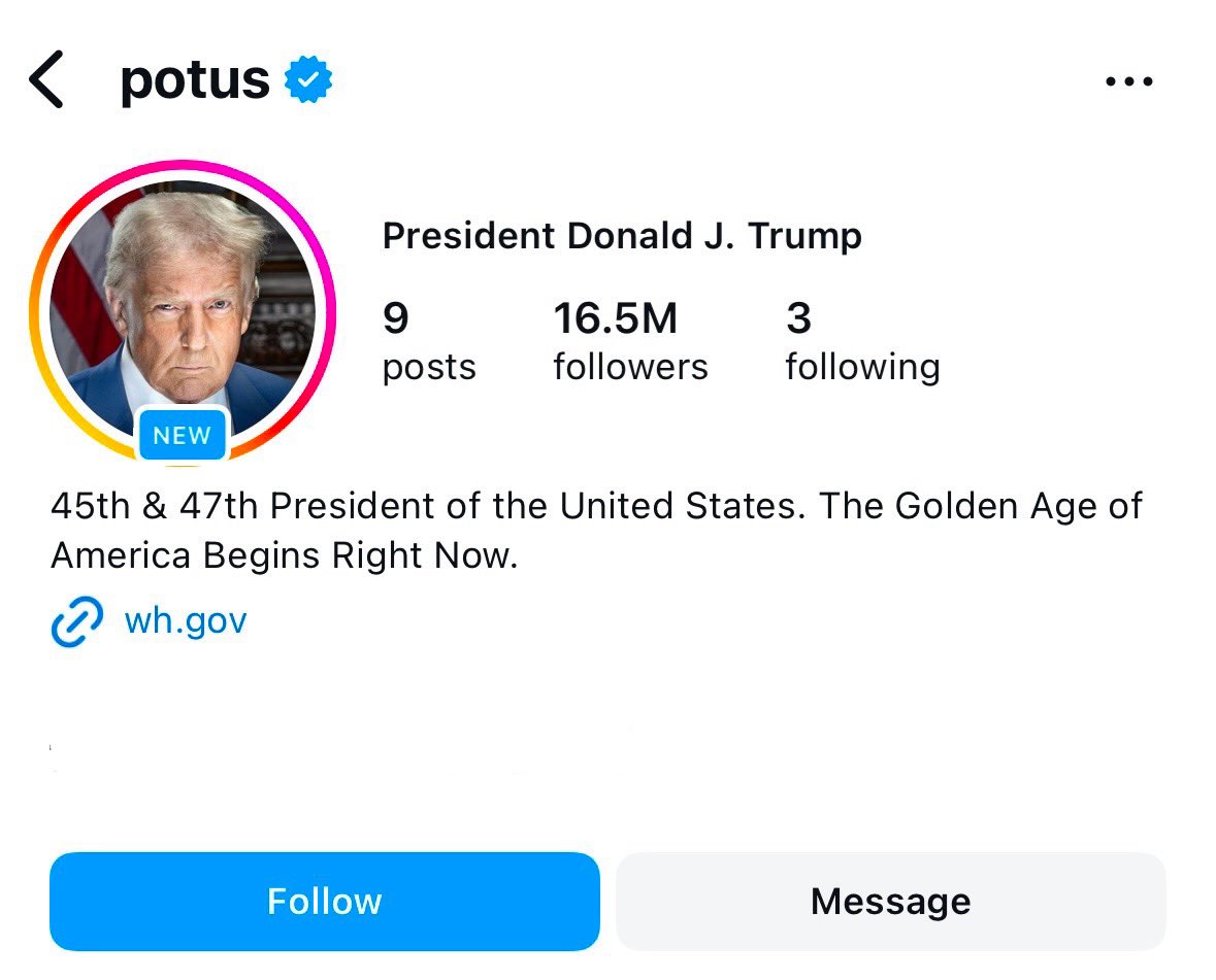 Bradley Stern tweet media