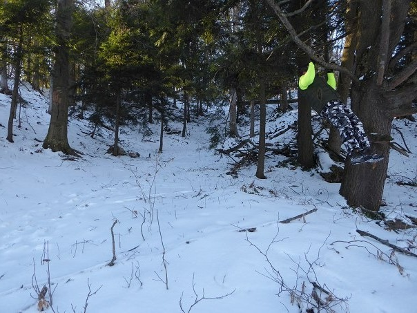 joshuaeeriksen's tweet photo. In the forest, in a cool -19ยฐc/2ยฐf windchill -27ยฐc/-17ยฐf weather, go for a 3 set 37 rep head over pullups, then add progressive resistance overload for desired effect. #Proverbs21:5 #stayingalivein2025 #fattofitnoquit #fightyoflight #fababs #icanucantoo #generationjoshua
@ https://t.co/pVee9lfPfy