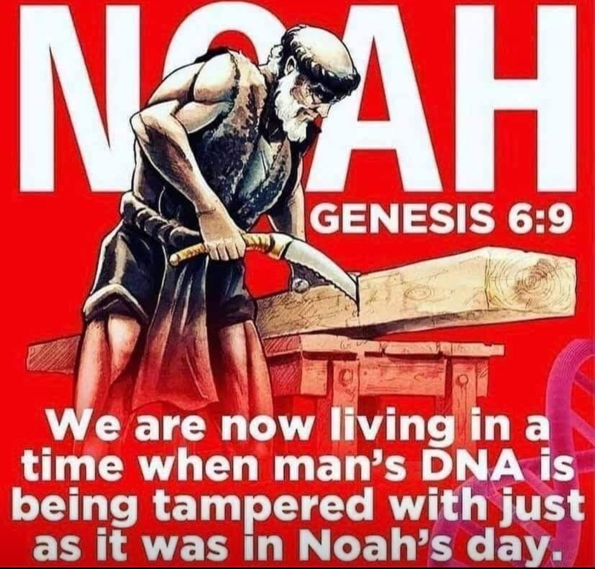 Chris🙏🏼🦆 tweet media