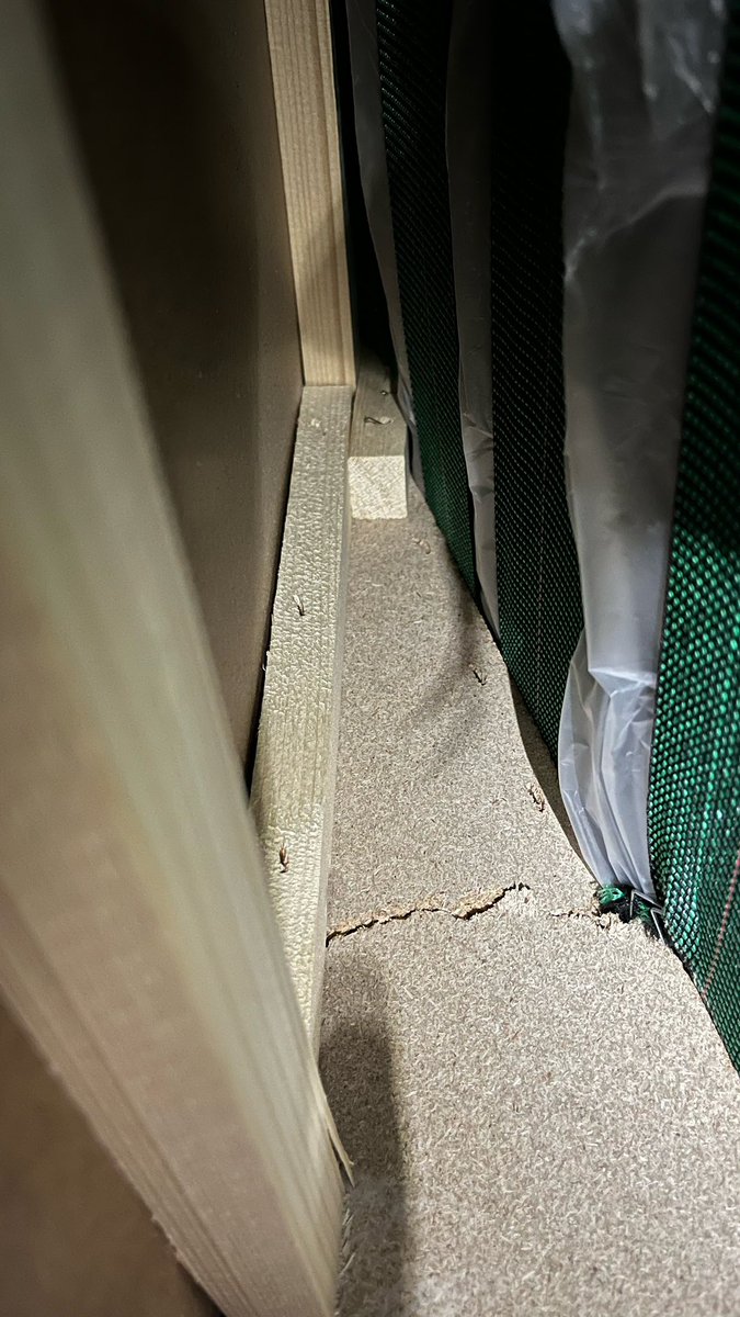 brhees's tweet photo. The other couch broken in the exact same spot! https://t.co/dAy5gLmuQl