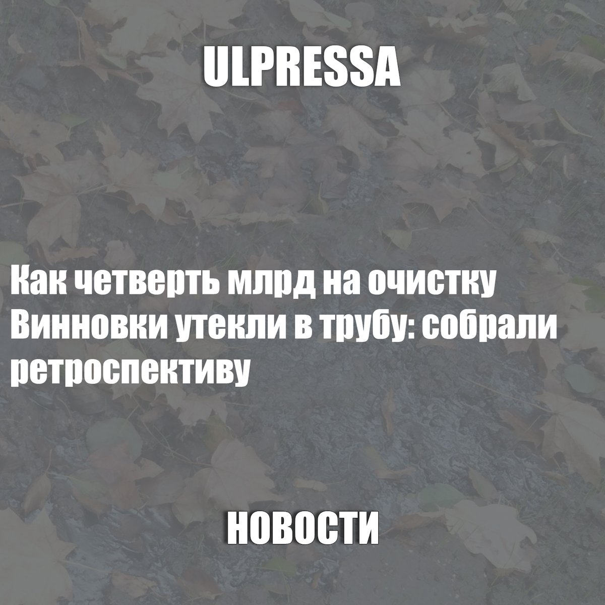 Как четверть млрд на очистку Винновки утекли в трубу: собрали ретроспективу

ulpressa.ru/zIVJGWN
