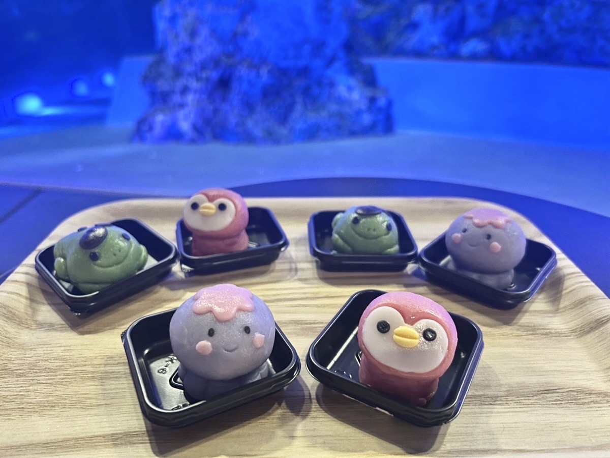 2月5日まで！ すいぞくすいーつがお得🐧 ＼ ペンギン（ピンク