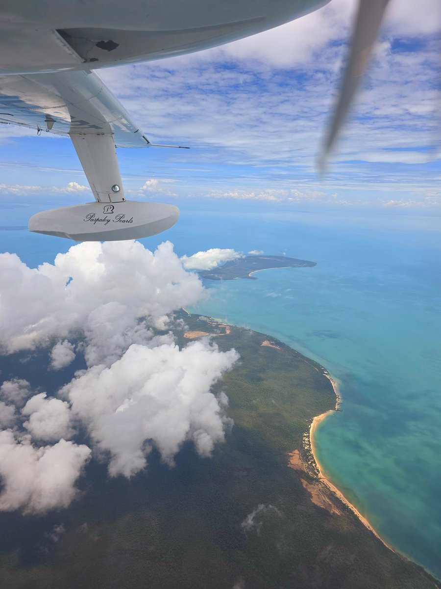 Jason H (AU) 🇦🇺 tweet media