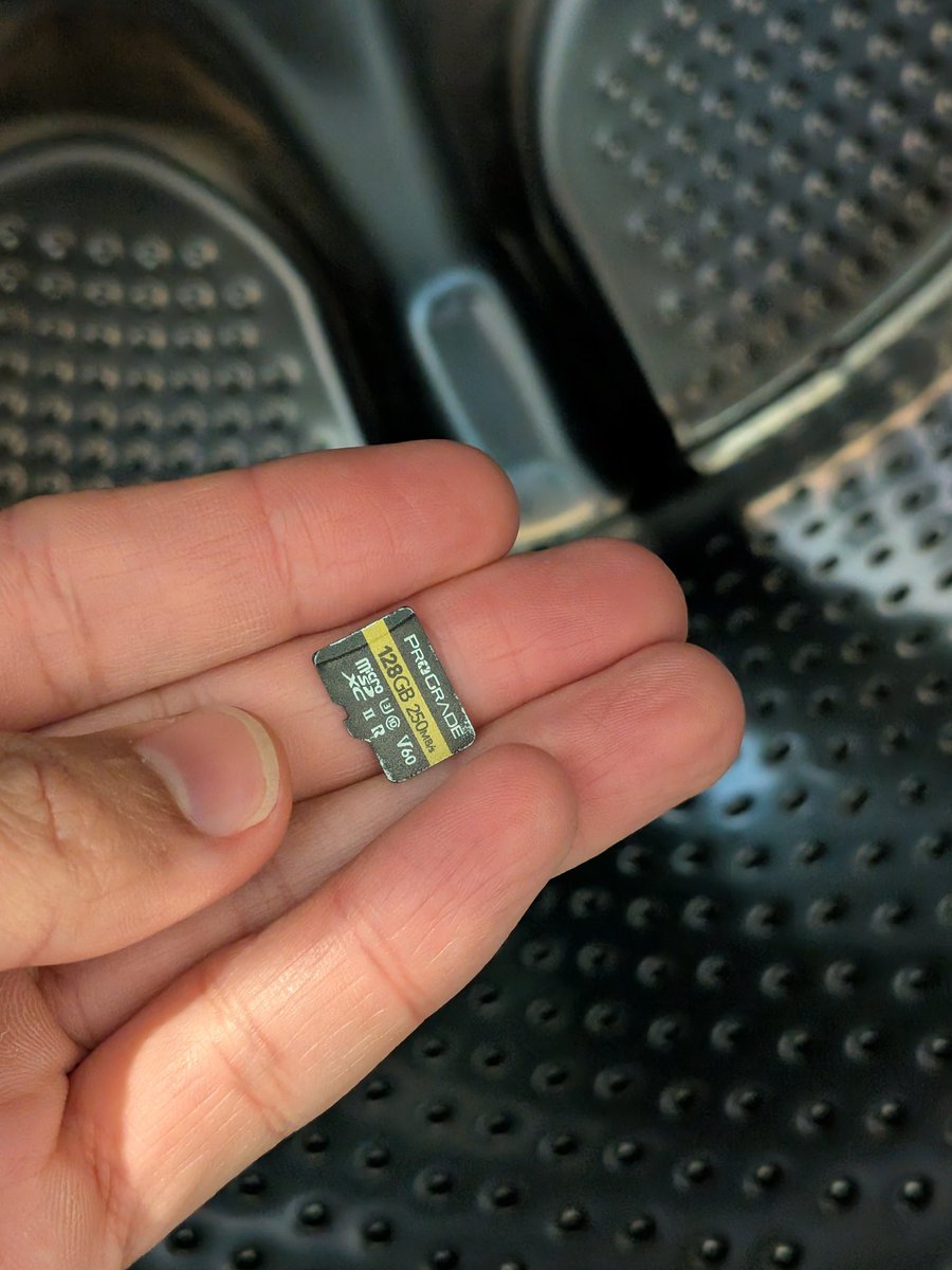 悲報。ドラム式洗濯機から一ヶ月ほど見つからなかったプログレードのSD