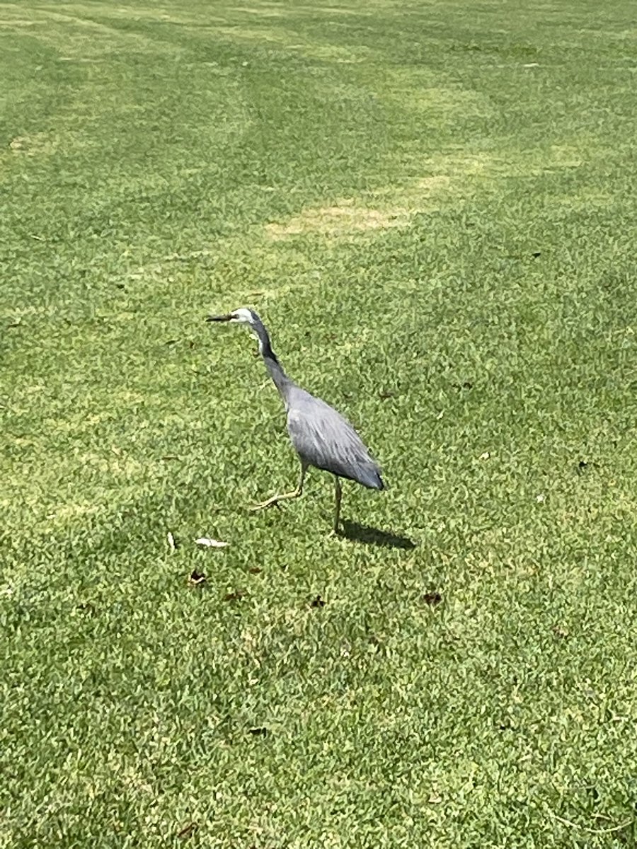 p_terg's tweet image. #NotFacebook #Latergram #4/4