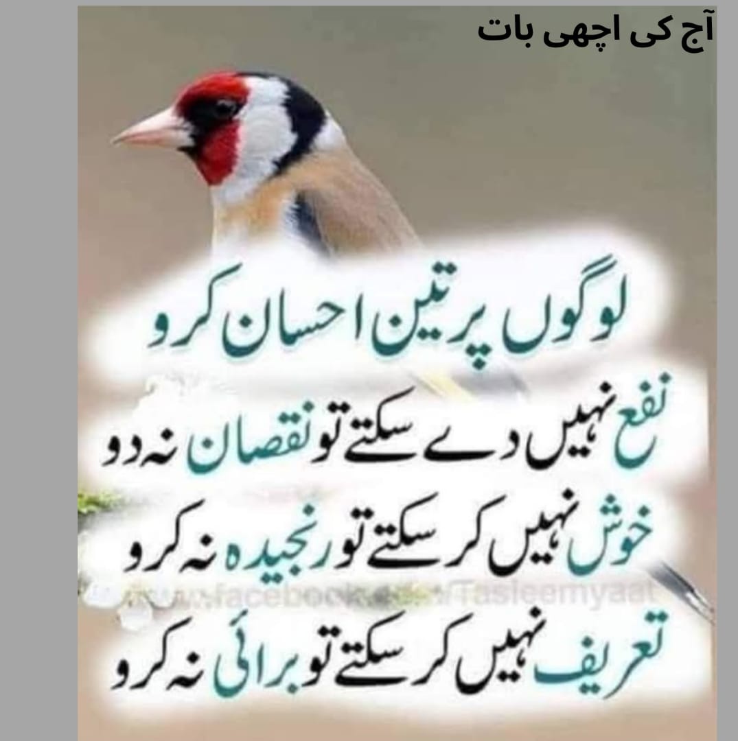 kashifbuttpew's tweet photo. Good 🌞 morning 
#Goodmorning 
#GoodMorningEveryone
#GoodMorningTwitterWorld #Ajkihadees
#GoodMorningEveryone #goodmorningquotes 
#ButtDaDeyra #DoHelp
#بٹ_دا_ڈیرہ 
@kzb23 درود شریف پڑھ لیں
#Twitter #x #peshawar #viral #Trending #foryouシ https://t.co/ZKJssswTng