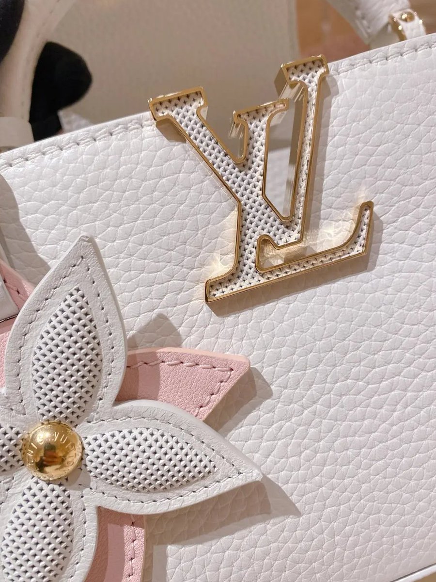 Joyce_yvc's tweet photo. What a beautiful bag. I was amazed at the first sight. https://t.co/nRJr4JeemL