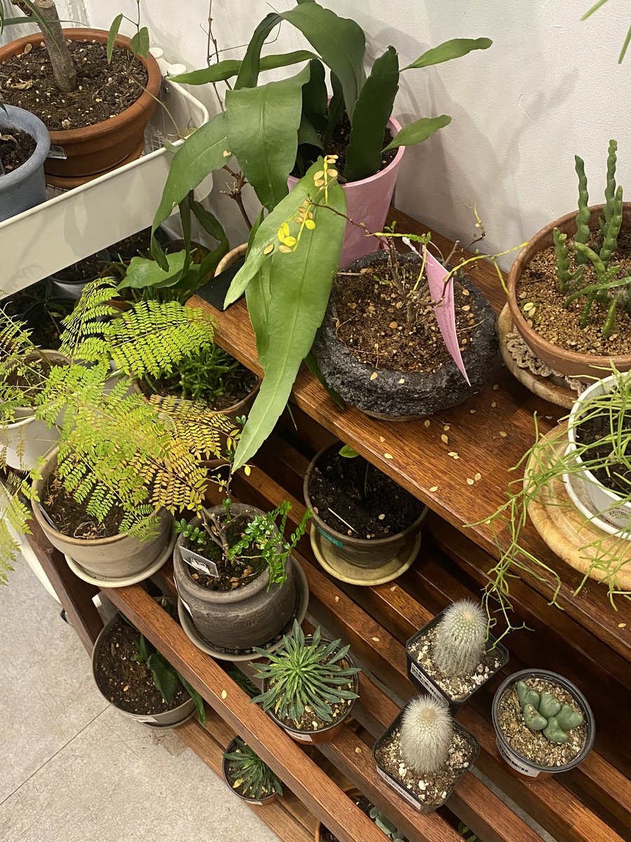 맘에 드는 무인소품샵 발견 🥹