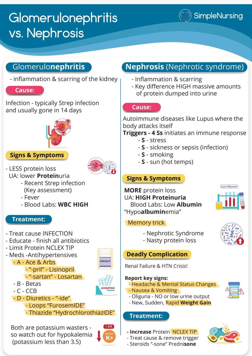 MoarSahitoPTI's tweet photo. Glomerulonephritis vs Nephrosis. 📚 https://t.co/6hR7LMTBSU