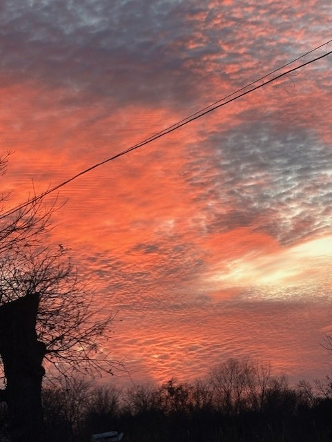 ChikageWeather's tweet photo. Did you catch sunset? Love those reds!!
Thanks to Pam U-Wilson for this shot from Del Valle!
#atx #atxsunset #atxwx https://t.co/V3wej8ueEK