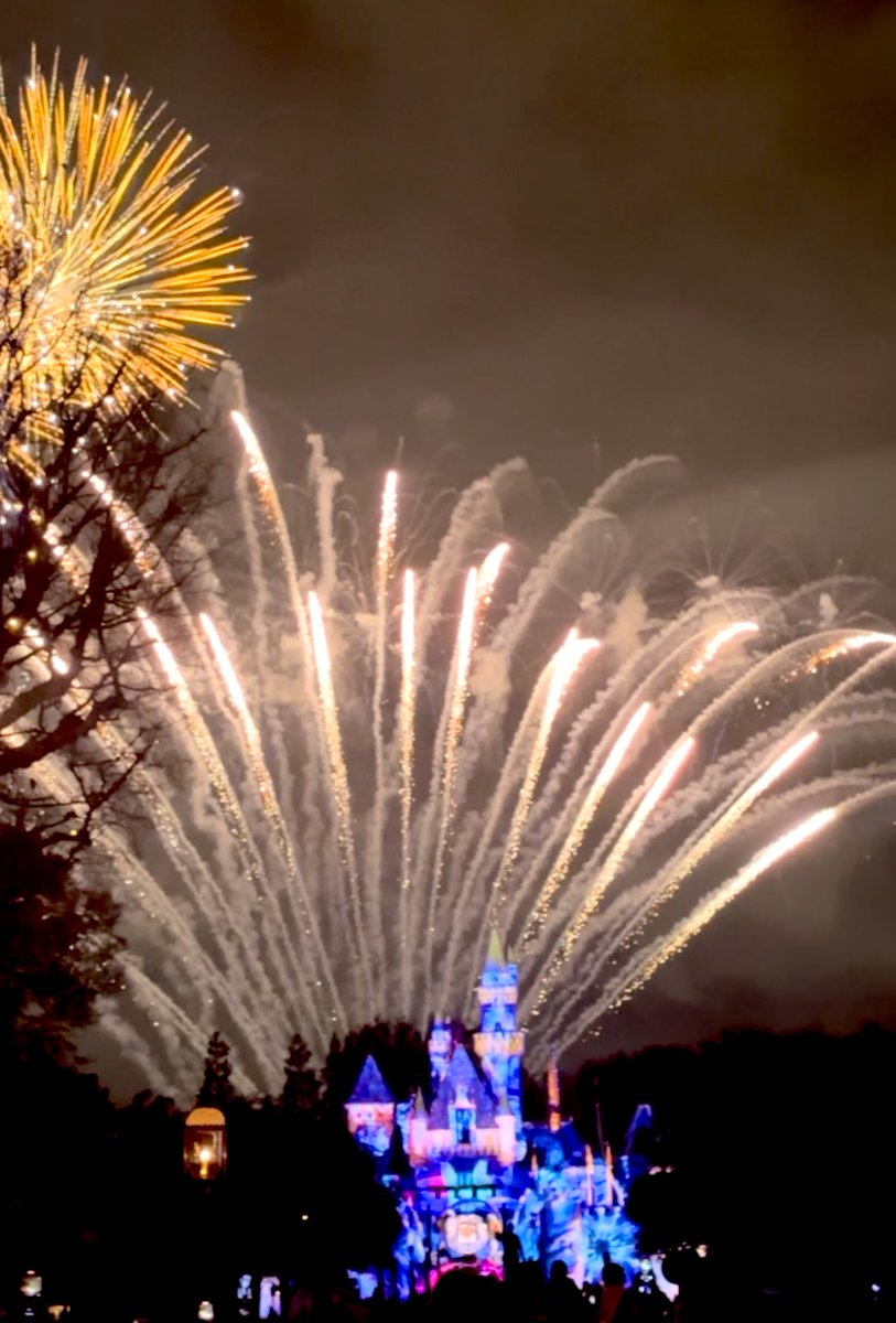 SABSQ's tweet photo. Happiest place on earth 🥰 🏰🎡🎢#Disney2025 #RUTA7 https://t.co/5rmtsYb5uH