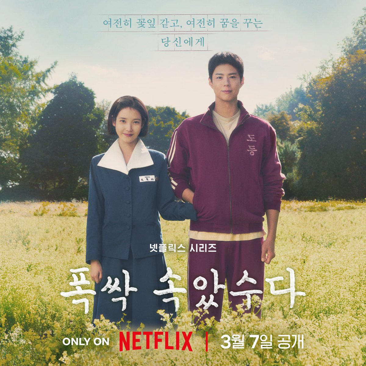 swansault's tweet photo. UAENA! This is a thread of all WLGYT🍊 Netflix posts from every country.
Like, RETWEET and possibly comment on everyone of them!
We must bring this drama everywhere! https://t.co/ktk3QW4ysK