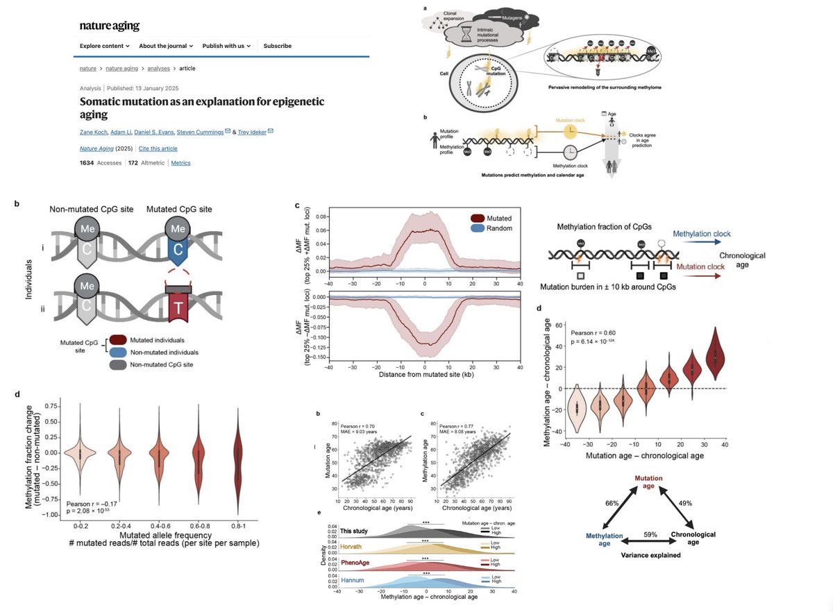 A cool paper was just published about how biological age is measured. It's pretty technical so I asked an AI tool to explain it as if I am a fifth grader: 

Imagine Our DNA is Like a Book

Think of your DNA like a big book that tells your body how to grow, stay healthy, and