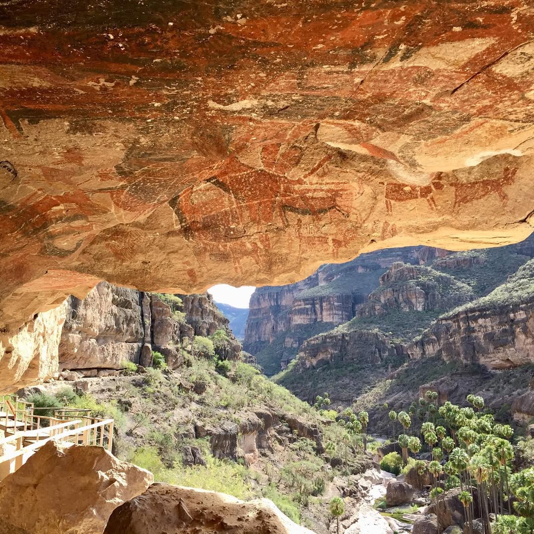 PostBajaSur's tweet photo. 🌵Imágenes de la Baja California Sur 
🔊Pinturas Rupestres de la Sierra de San Francisco en #BCS🔝 https://t.co/iQGiEBiAiU