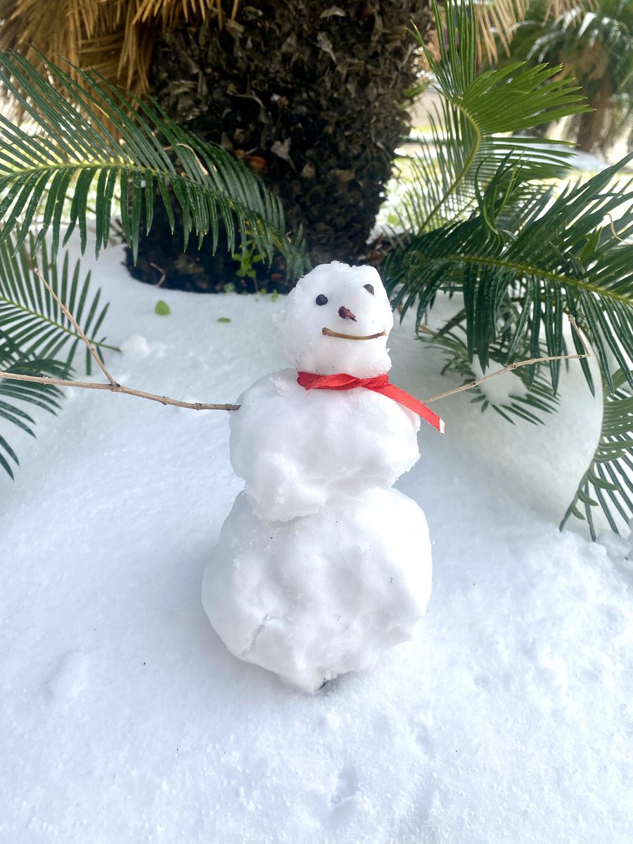 Houston froze over!😮
So of course, I had to make a #SNOWMAN! (What should I name it?!)

He’s a health-conscious snowman: organic peppercorn eyes, pomegranate seed nose, apple stem smile, &amp; a cute ribbon scarf. Isn’t he adorable?! ❤️☃️❄️🥶

#NotNormalHoustonWeather 🤪