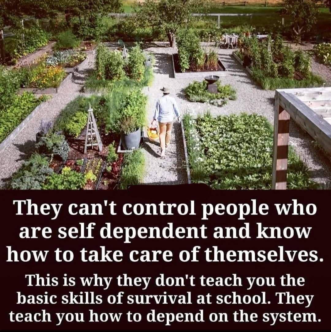 DaysofNoahGen6's tweet photo. Time for a Self-Check: If you aren’t learning how to grow your own food, to take care of yourself, and to live without the need for huge governments or corporations, as our ancestors once did, then you are being indoctrinated to be dependent and subservient to the system. https://t.co/rvRGYWWlZL