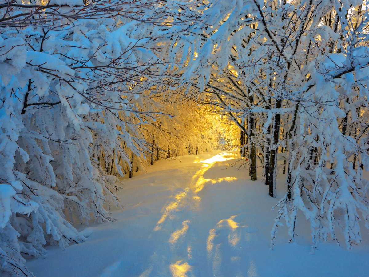 <a href="/glamour__fifa/">Нэнси</a> <a href="/santairis_/">Ириска</a> <a href="/nina__moya/">Нина Лебедева</a> <a href="/ledi__briz/">Алина Голубкова</a> <a href="/Irina__Grad/">Ирина Градова</a> <a href="/ya__chara/">Яна</a> <a href="/alberiniks/">Нина Альбертова</a> <a href="/lady__travel/">Нинэлька</a> <a href="/Ansupers/">Анастасия</a> <a href="/moyi_angel/">Ангелина</a> <a href="/niguzan/">Нина</a> <a href="/polovinkamoya/">Валентина</a> <a href="/emrekaraman2018/">Emre Karaman</a> <a href="/Valeri_Ladamina/">Валерия Ладамина</a> <a href="/_Nadya_Antipova/">Надежда Антипова</a> <a href="/_Alina_Shilova/">Алина Шилова</a> <a href="/Irina__Razumova/">Ирина Разумова</a> <a href="/Mishel_Lebedeva/">Мишель Лебедева</a> <a href="/BogSuvorova/">Богдана Суворова</a>