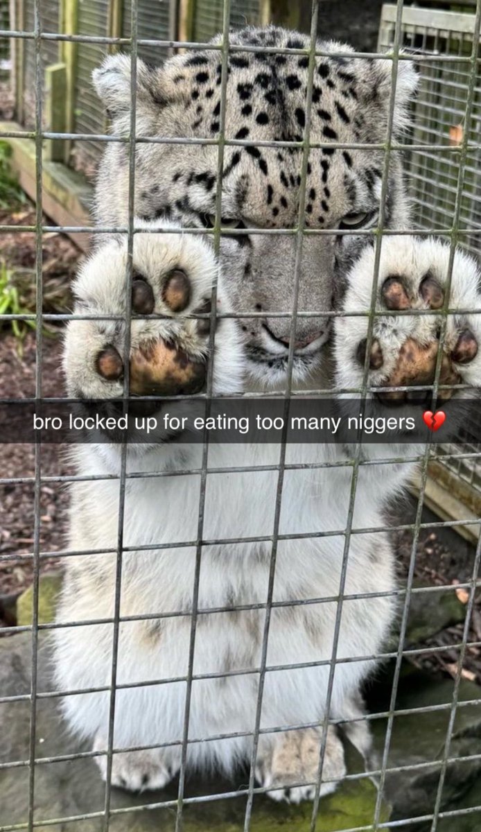GarbageHuman24's tweet photo. https://t.co/mEQ5a8SjIZ