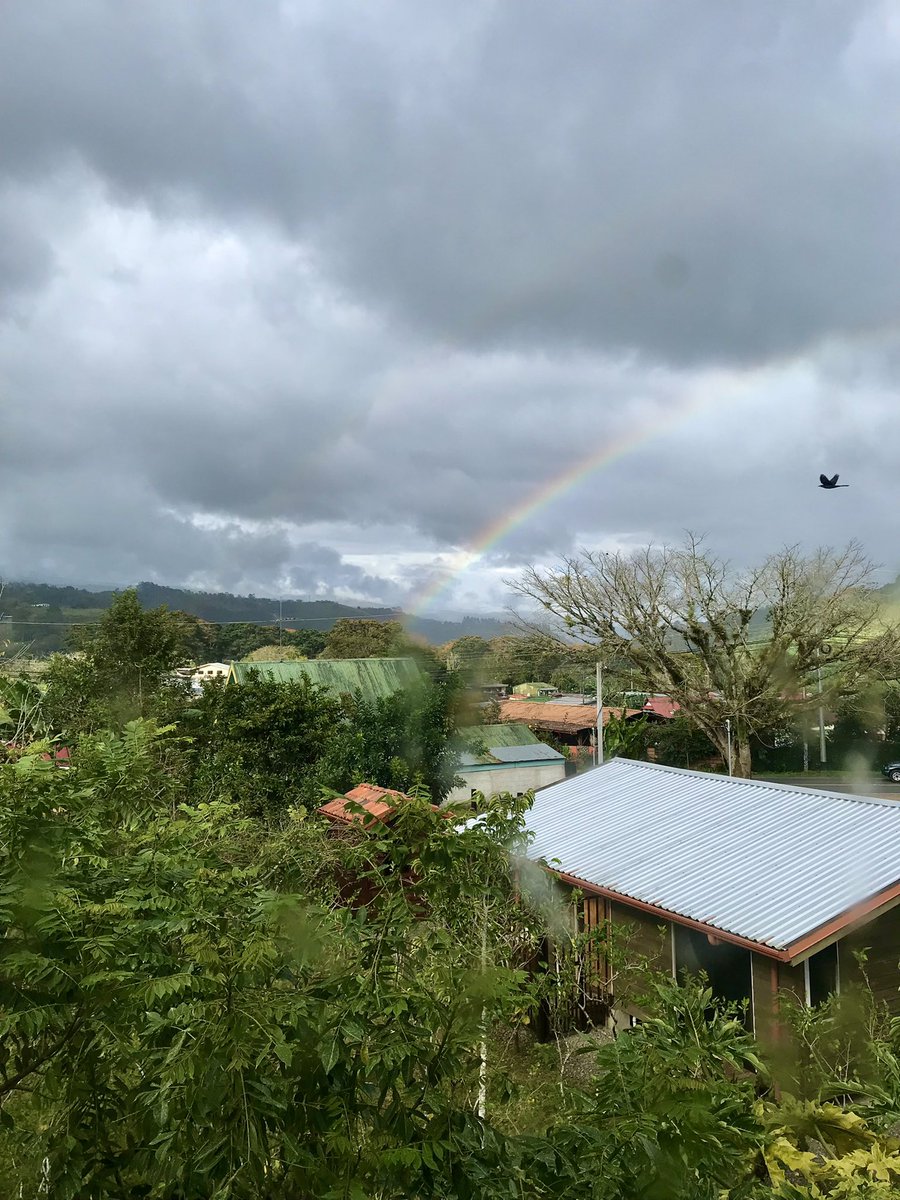 nomadLVR 🌒✨ tweet media