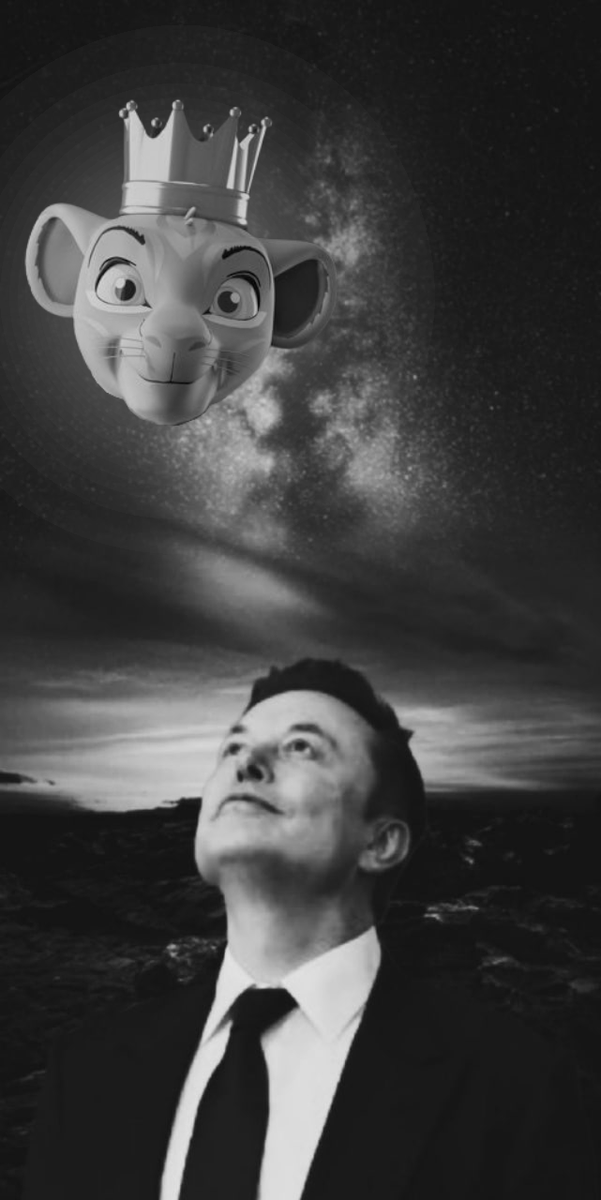 🐾What are your goals for today? 

🎮Make sure solcat.game is on the list!!! 🚀