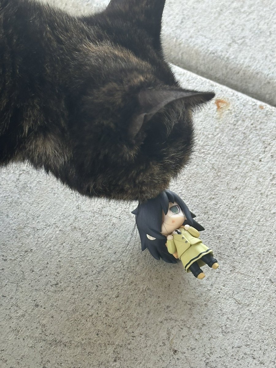 roryislucky's tweet photo. evil beast KILLS tomoko https://t.co/12Cz2ZGREi