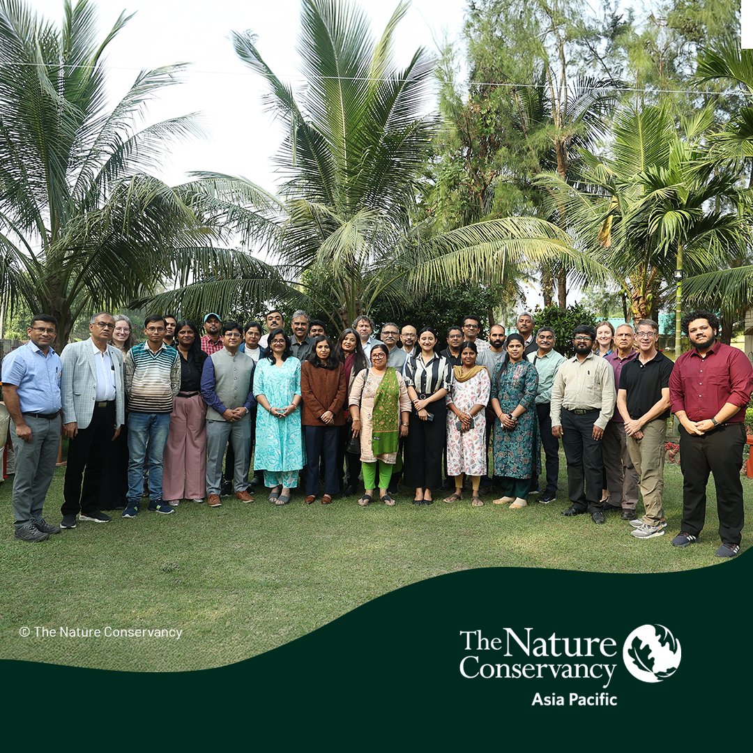 #TheNatureConservancy has recently concluded a workshop with experts to explore the opportunities in #MangroveRestoration and the #BlueCarbonMarket in India - a powerful reminder of the importance of collaboration in conservation. Read more about our work: nature.ly/4jsMoKs