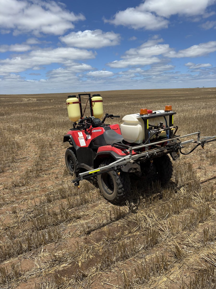 Cleve_Rural's tweet image. Trialing @Adama_AU Res+. Crop management tool to breakdown stubble residue #SustainableFarmingSolutions