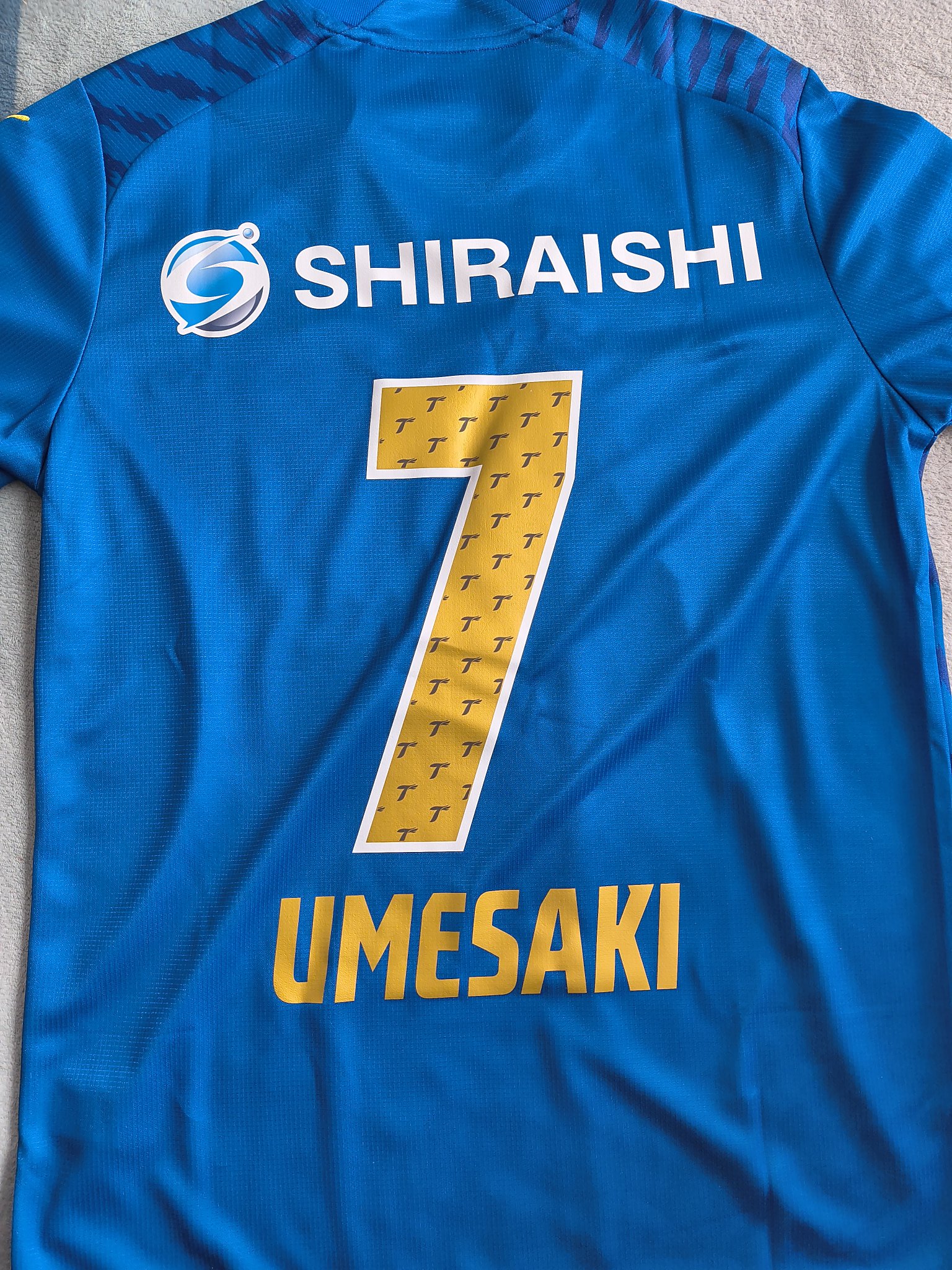 湘南乃輝(しょうなんのてる) on X: 