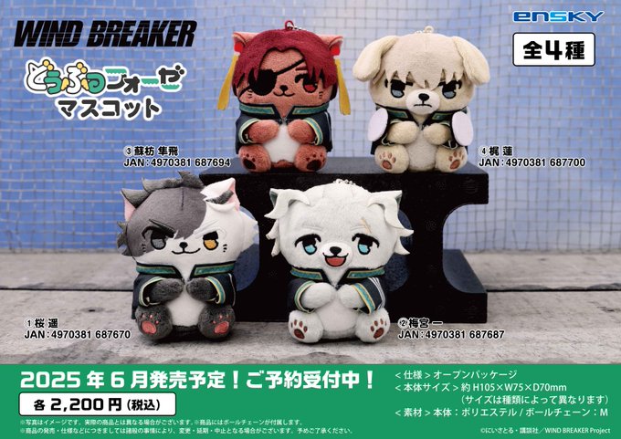 【匿名配送】WIND BREAKER ぷちべあマスコット 桜遥 蘇枋隼飛 2点 WIND BREAKER(ウィンブレ)』 グッズ情報 on X: