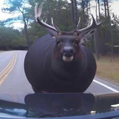 #NewProfilePic