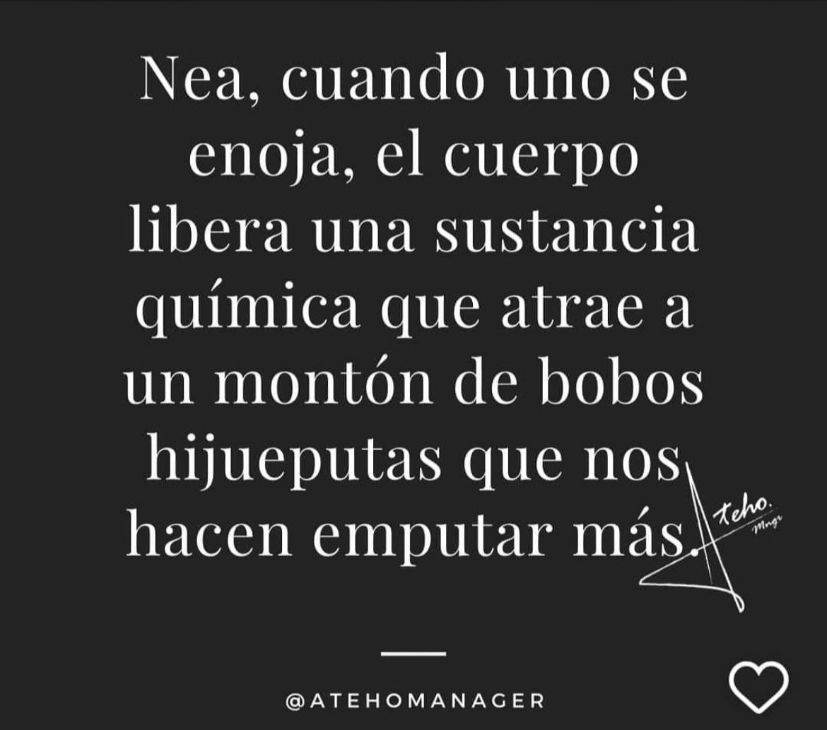 NandoMemes's tweet image. #emputado #meme #Memes #humor