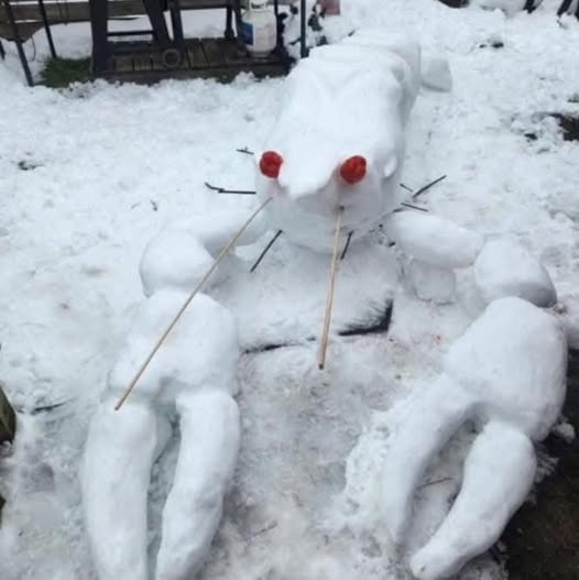 ChrisRobbinsWX's tweet photo. Rare cajun #snowfish spotted and check out the massive #icicles from the Gulf Winter Storm https://t.co/zBTczLMzM7 that set records in the South! 😱 https://t.co/wjcgY71mDY
