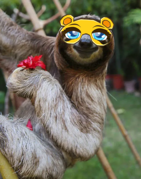 Did you feel this X low IQtivty ?
No worry, chiefs are cooking, Q5 is coming