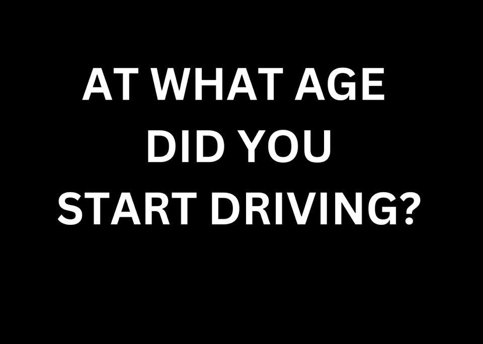 El Gallo 🇺🇸🇩🇴☘️ tweet media