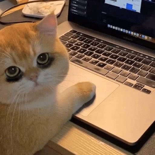 lostyouinmay's tweet photo. mood : อดทนไว้ พรุ่งนี้วันศุกร์แล้ว https://t.co/Exz5d62F4H