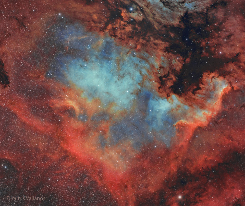 apod's tweet photo. The North America nebula on the sky can do what the North America continent on Earth cannot -- form stars. Specifically, in analogy to the Earth-confined continent, the bright part that appears as the east coast is actually a hot bed of gas, dust, and newly formed stars known as the Cygnus Wall. The featured image shows the star forming wall lit and eroded by bright young stars and partly hidden by the dark dust they have created. The part of the North America nebula (NGC 7000) shown spans about 50 light years and lies about 1,500 light years away toward the constellation of the Swan (Cygnus).

Image Credit & Copyright: Dimitris Valianos