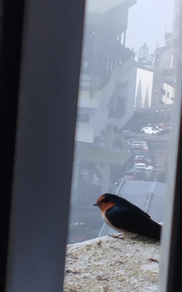 Di luar tingkap <a href="/RW_Genting/">ResortsWorldGenting</a>