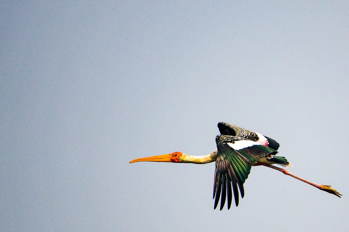 csdhara's tweet image. a painted story at sun rise…