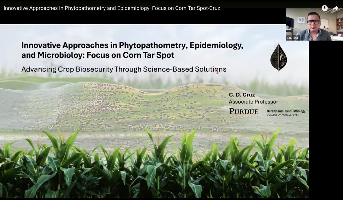 C. D. Cruz (@cruzepidemiolab) on Twitter photo Thanks to the <a href="/ncipmc/">North Central IPM Center</a> for the kind invitation and opportunity to contribute! Feel free to check out the webinar here: youtube.com/watch?v=OYjGxi… Thanks to the <a href="/ncipmc/">North Central IPM Center</a> for the kind invitation and opportunity to contribute! Feel free to check out the webinar here: youtube.com/watch?v=OYjGxi…