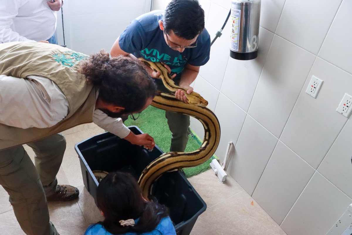 PMA Veracruz tweet media