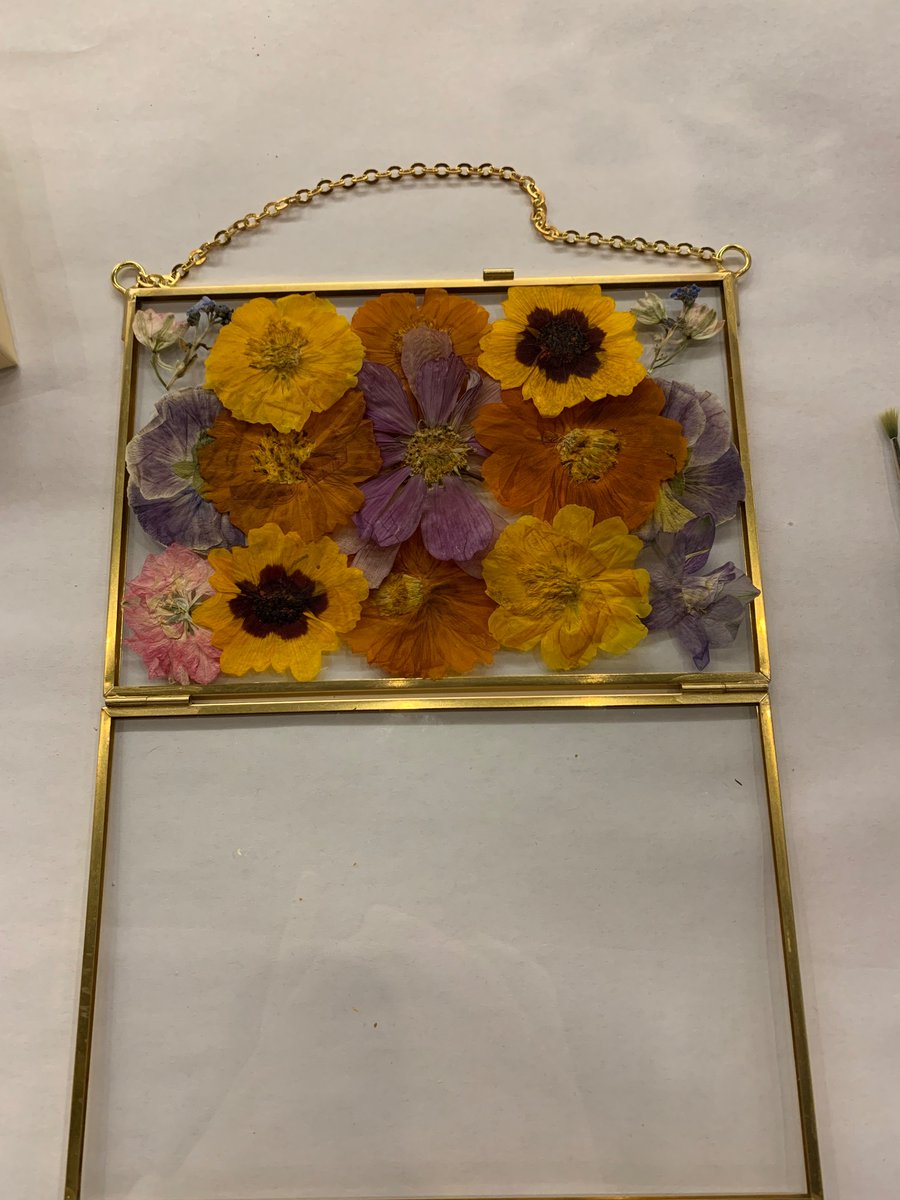 Diane Sun tweet media