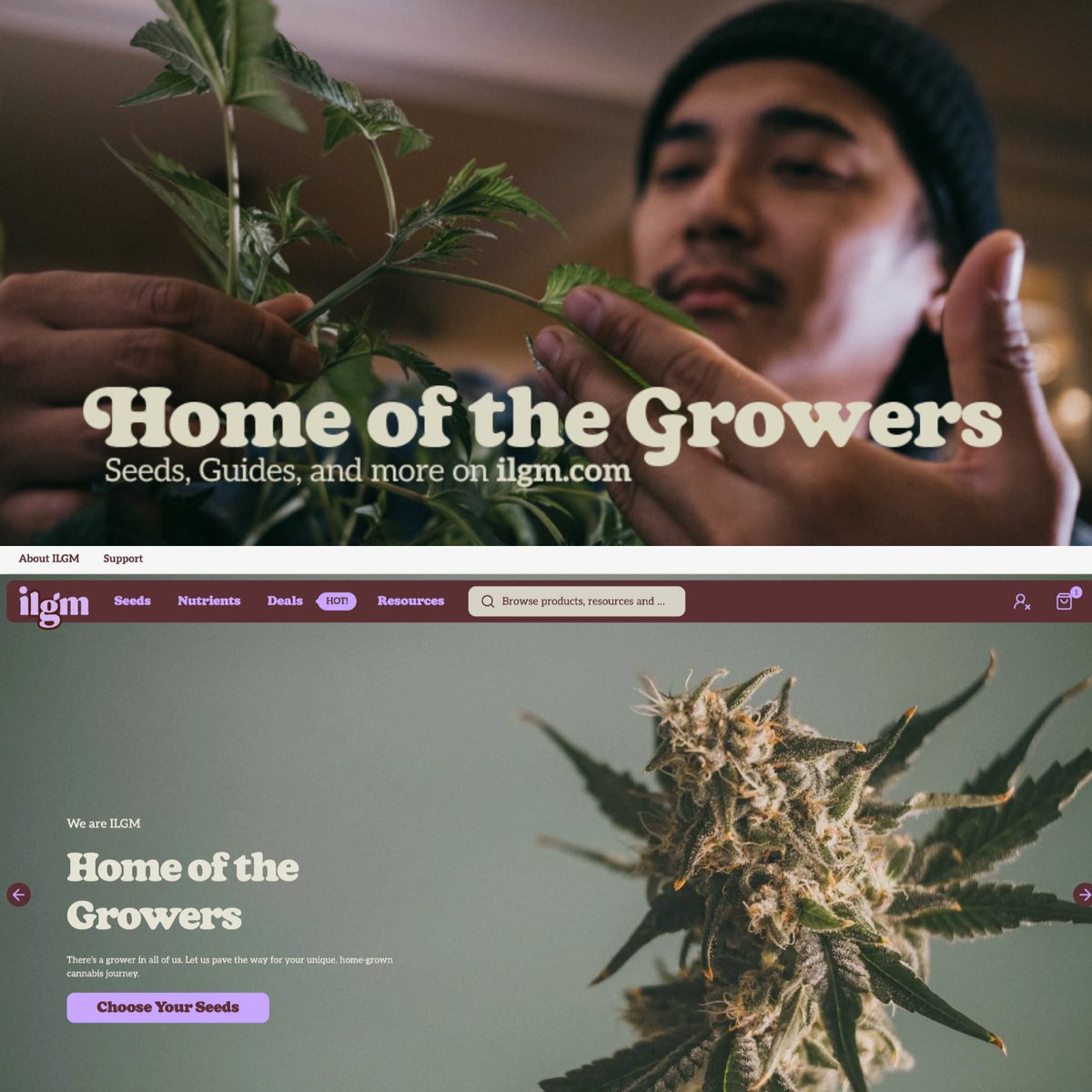 From blooms to bud🌳

ILGM’s new interface and resources are here to help you grow.

prnewswire.com/news-releases/…