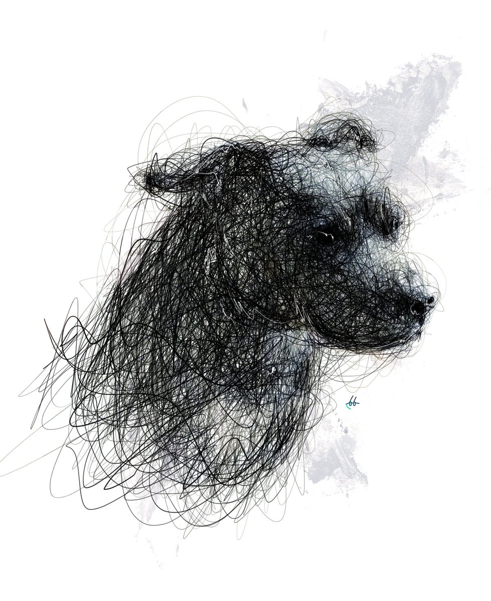 Scribbleisme tweet media
