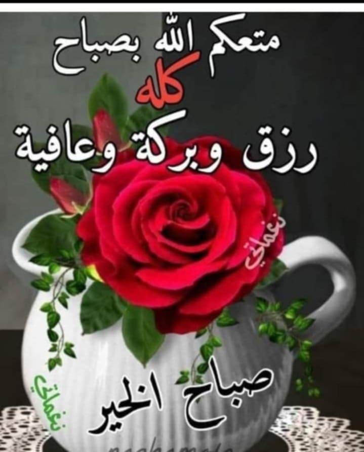 dly5084's tweet photo. https://t.co/xfh3sbwPCR