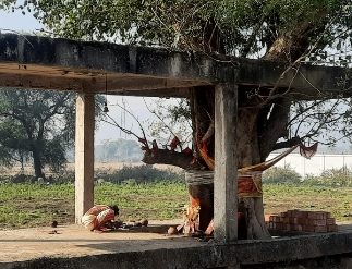 Divinity being so close to Devine.