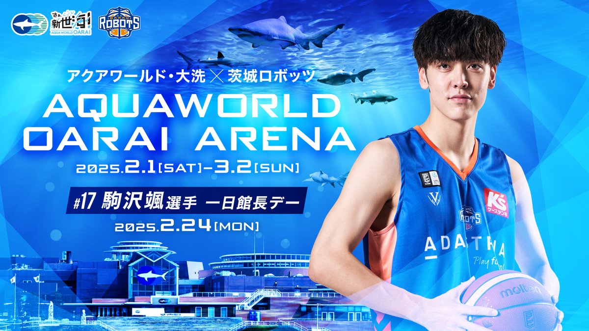 ibarakirobots's tweet photo. AQUAWORLD OARAI ARENA🦈
1日館長 #駒沢颯 就任!!
｜#茨城ロボッツ｜#GETOVER｜

🌊🦈━━━━━
#アクアワールド 茨城県 #大洗水族館 
　　　　　　　　　━━━━━🦈🌊

2/1(土)～3/2(日)に毎年恒例「AQUAWORLD OARAI ARENA」を開催します!!

☑コラボイベント
☑コラボグッズ
☑一日館長

▶https://t.co/bQsfGa3e5w
