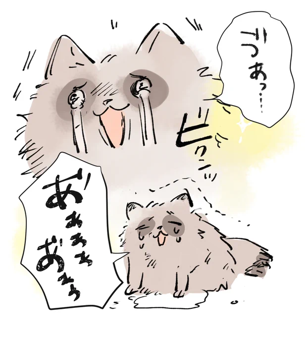 今年も辛辛魚の入手に困難を極めるタヌキ 